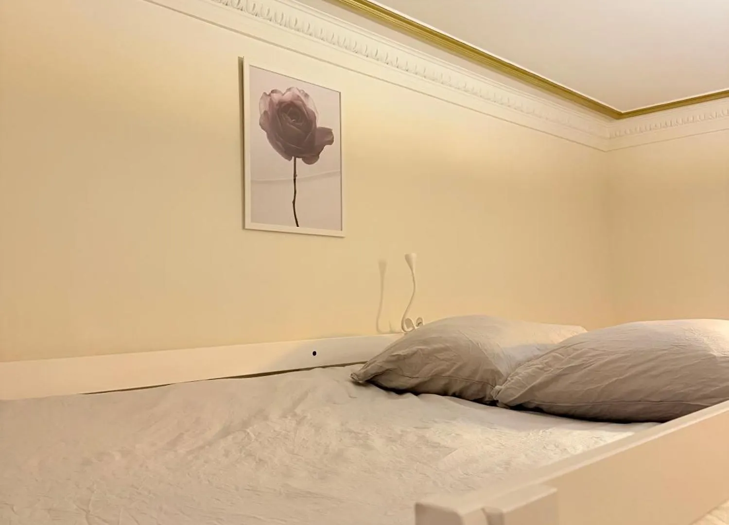 Appartement Hausmanien Elegant Dans Le 6Eme Paris France